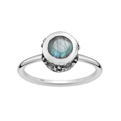 Anillo Netra