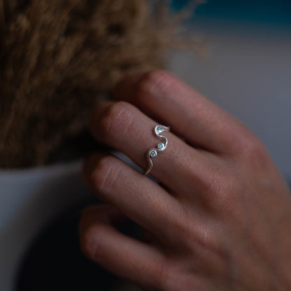 Anillo Ngaru
