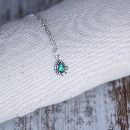 Collar Kai