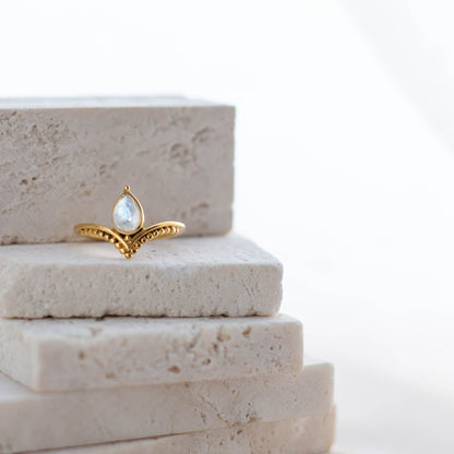 Anillo Tarini