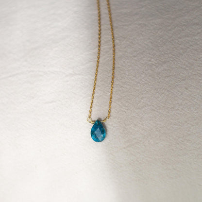 Collar Raksha