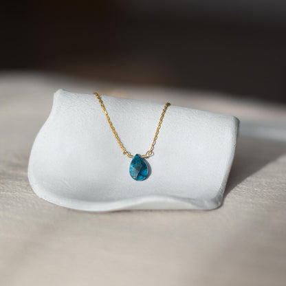 Collar Raksha