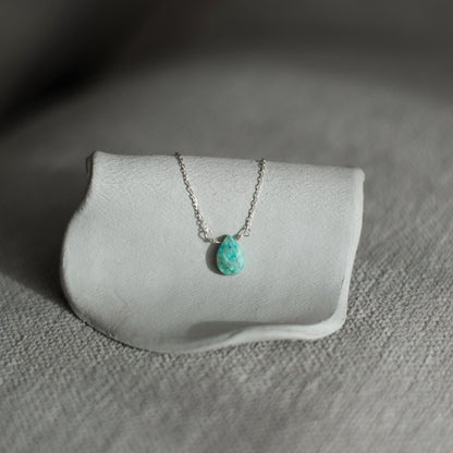 Collar Raksha