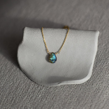 Collar Raksha