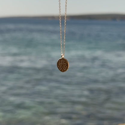 Collar Sand dollar